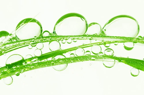 Nedvességmegkötők