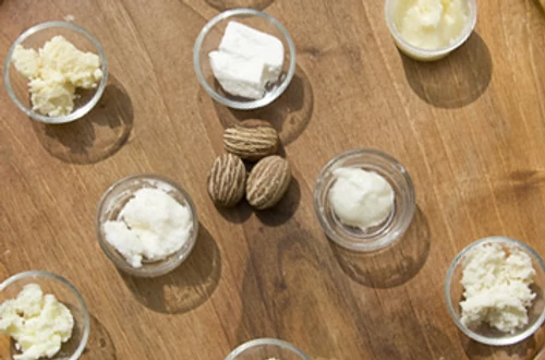 Sheavajak versenyben