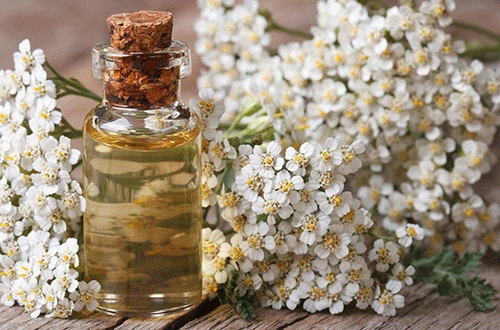 Tinktúrák saját kezűleg