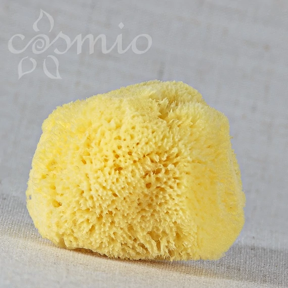 Silk tengeri szivacs